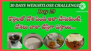 Day - 29 My Weightloss Diet Plan || కొర్రలతో దోస పిండి ఇలా చేసుకుంటే, దోసలు చాలా టెస్టీగా వస్తాయి...