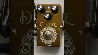 Shimmer reverb rocks. #guitarpedals #reverbpedal #affordablepedals #ambient
