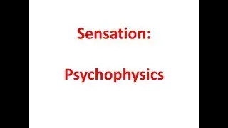 Sensation: Psychophysics
