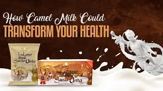 How Camel Milk Powder Could Transform Your Health