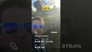 Day 72 of daily vlogs! #trending #viral #youtube #youtubeshorts #running #vlog #vlogger #dog