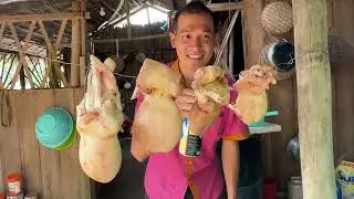 4 BỘ NGỌC DƯƠNG DÊ HẤP TRONG TRÁI DỪA ĐÃI GIA ĐÌNH. # CHÒI LÁ QUÊ # T 146
