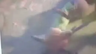 Animals (Cars) Clip Manny Arrests￼ Nick (Gift For Davidchannel 29 Entertainment)