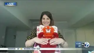 New 2022 Toys on ABC7 Chicago | The Toy Association