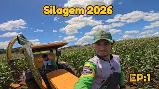COMEÇAMO A SILAGEM DO PAULÃO botando pressão 🇧🇷