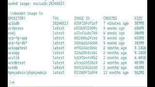 06 docker load