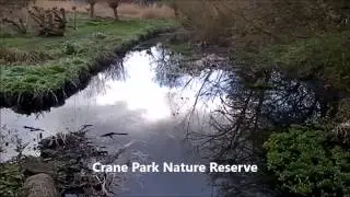 Crane Park Nature Reserve 2, Twickenham, London, UK