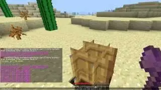 Minecraft Explained - Invisible Blocks and Derp Plants!