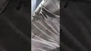 light grey Wash Jeans