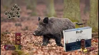 &Delta;&omicron;&kappa;&iota;&mu;ά&zeta;&omicron;&upsilon;&mu;&epsilon; &tau;&alpha; 9&Beta;&Omicron;&Lambda;&Alpha; &tau;&eta;&sigmaf; B&P - Testing  Baschieri & Pellagri 9 pellets buckshot