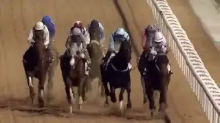 DWCC Meydan Racecourse 25-2-16, Race 6 Trans Gulf Electromechanical Trophy Handicap
