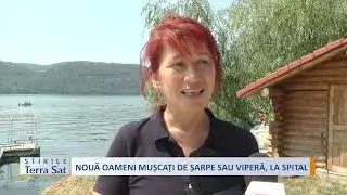 NOUĂ OAMENI MUȘCAȚI DE ȘARPE SAU VIPERĂ, LA SPITAL