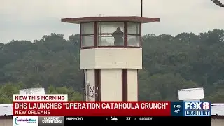 DHS launches Operation Catahoula Crunch targeting migrant criminals in New Orleans