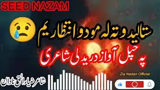 غم دی زه کوم او ته راته خاندې |Zia Nadan Official 🎙️#غمجنه ترانه #غمجن نظمونه #viralvideo #seedlings