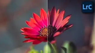 How to Import/Export Lightroom Presets