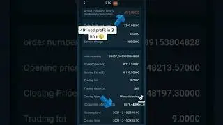 who want make money without loss in htfox join my whatsapp group #htfox