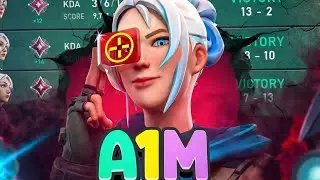 top 0.01 % radiant aim.......
