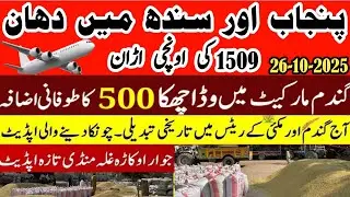 Today Wheat price in Punjab/Wheat rate 2025/Munji Makki till sarso/Galla mandi rate today 26-10-2