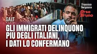 Gli immigrati delinquono pi&ugrave; degli italiani, i dati lo confermano | Orso Bruno - Francesco Borgonovo