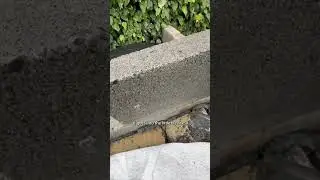 60-Second Pond Hack | Taiga Foam Stops Soil Backwash
