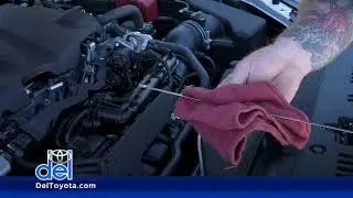 How to Check Your Vehicle's Fluids - Learn from a Toyota Technician