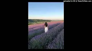 (free) diary plugg + violet + whyhaze type beat - 
