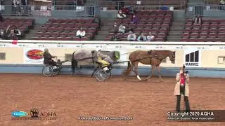 2020 AQHA Amateur Pleasure Driving