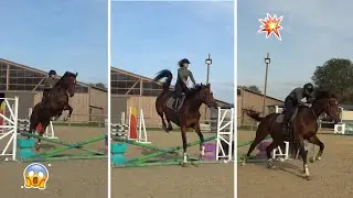 JE MONTE VOS CHEVAUX : Gros fail avec F&eacute;&eacute;rie 🫣