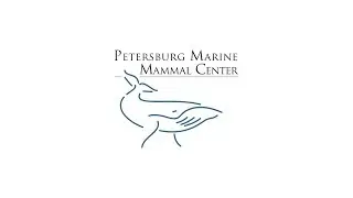 PMMC Whale Entanglement Response Training