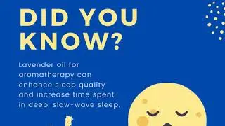 Dreampod Sleep Tips