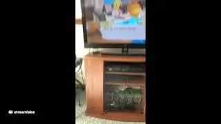 Animal crossing new horizons mini games plus fashion show and island visits