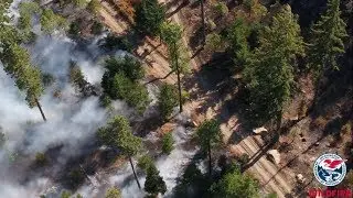 TREX giving forests the prescribed fire they need