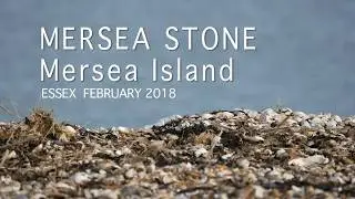 MERSEA STONE -The Eastern Tip of Mersea Island Essex