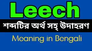 Leech Meaning In Bengali /Leech mane ki