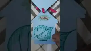 Sanskrit TLM l Sanskrit Kit Material l Baaljagat l TLM For Sanskrit Kit l TLM For Sanskrit l #shorts