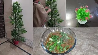 New Plants🪴 Buy Kar liye || Aj Banaye Mutton Kaleji || Ayesha Haseeb Vlog