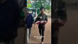 injured 🩸Monkey Rescue 🤕 MH29 helping hand &RRT team Yavatmal. #india #rescue #injured #monkey #बंदर