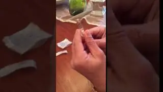 How To:Comfort-in Needle-free Syringe/Nozzle preparation