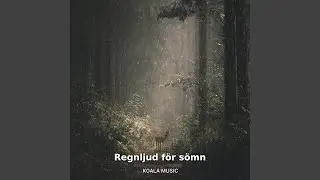 Regnljud för djup sömn och vila, Pt.27