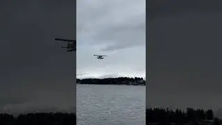 DHC-2 Beaver takeoff #adventure #bushpilot #airplane #alaska #floatplane