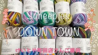 【この柔らかさはケタ違い！】Scheepjes DOWNTOWN ソックヤーン/けいとや町田店