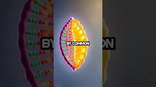 Half Banana, Half Human: The Shocking DNA Connection!
