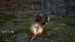 VINDICTUS : DEFYING FATE ALPHA DEMO - Fiona VS Wolftail | No Heal | No Damage