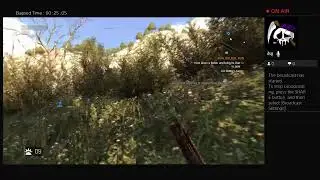 DLTF