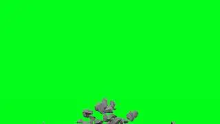 Free blue screen Effect ep30 (Broken Skull)
