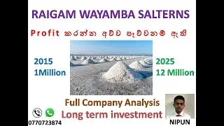 RAIGAM WAYAMBA SALTERNS PLC (RWSL.N) -  Company analysis  with data base / Long term