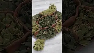 Fun Tortoise Snuffle Mat 🐢| Interactive Dog Toys #shorts