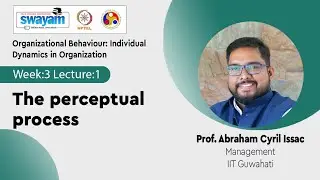 Lec 11: The perceptual process