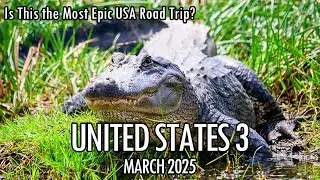 USA Road Trip 3: Is this the Most Epic USA Road Trip? 🌵 The Final Chapter of my Pan-American journey