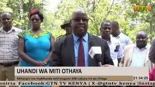 Tree planting in Chinga Boys in a bid to curb climate change